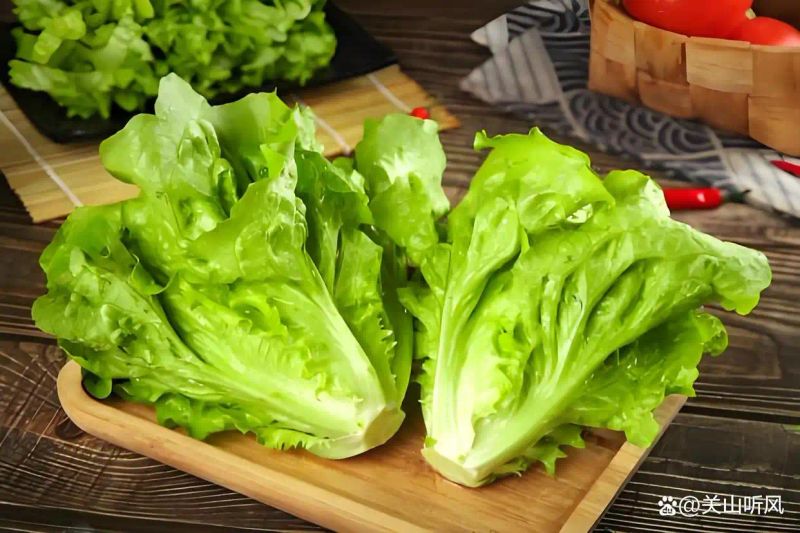 意大利生菜种植方法
