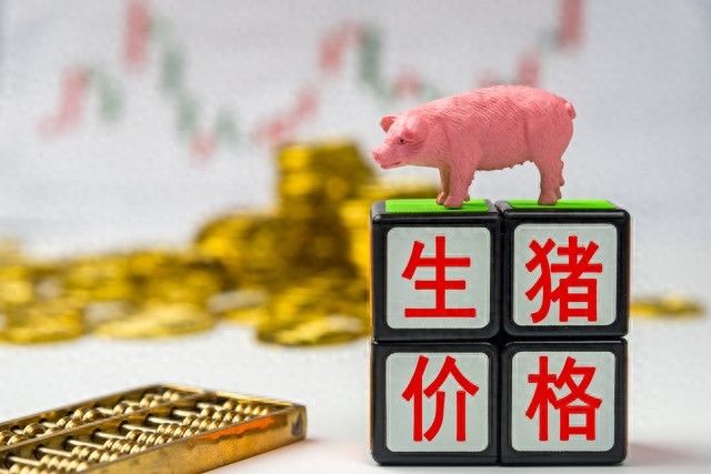 最新猪价行情