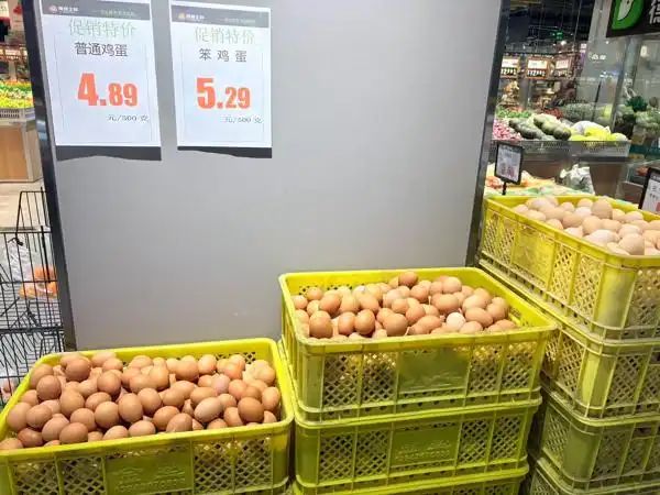 肉蛋纷纷降价，地产小菜1元一把！大庆市民买菜成本又降了