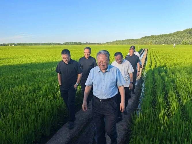 农业科技种植技术