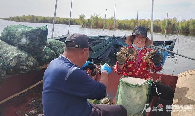 农业科技种植技术