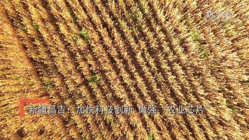 农业科技种植技术