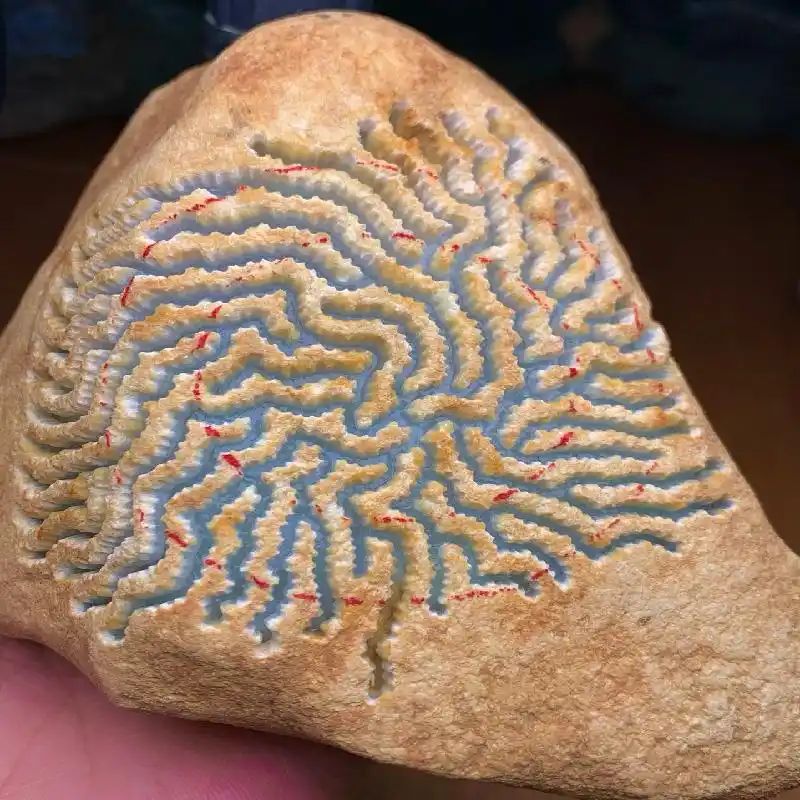帕敢黑乌沙赌石经验