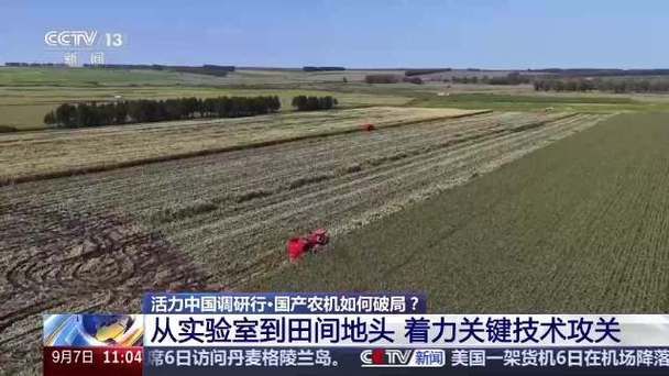 国外西红柿种植技术