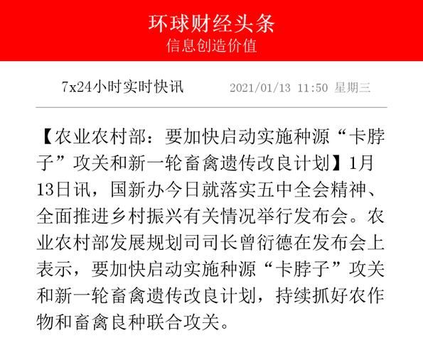 国外西红柿种植技术