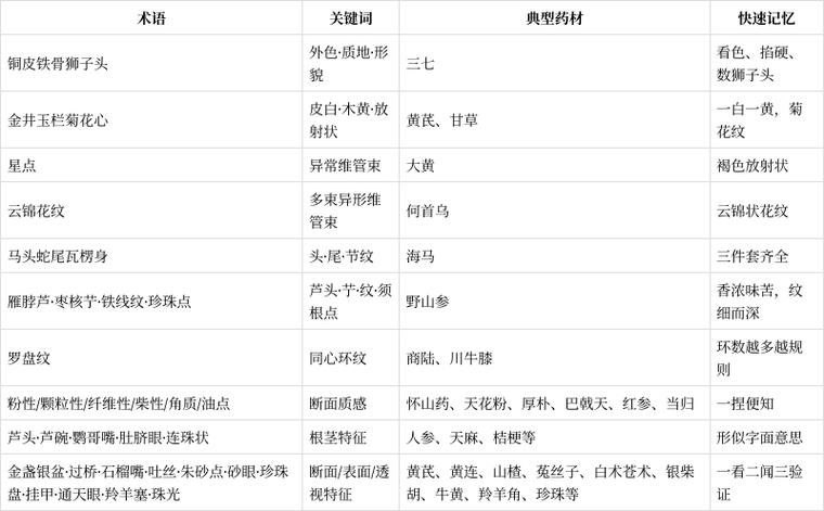 中药术语 百科