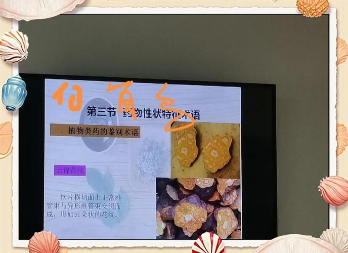 中药术语 百科
