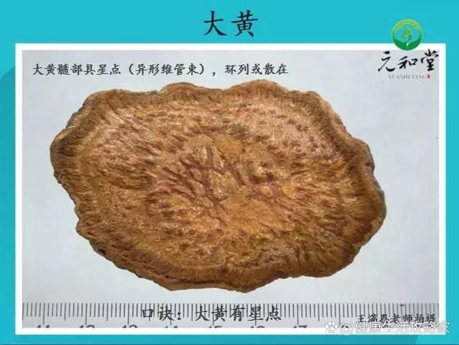 中药术语 百科