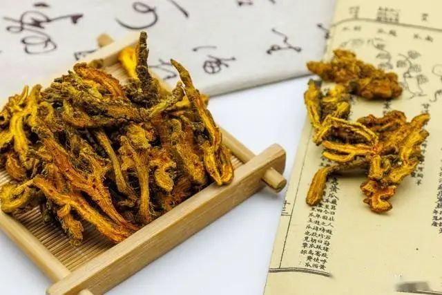 黄连种植技术
