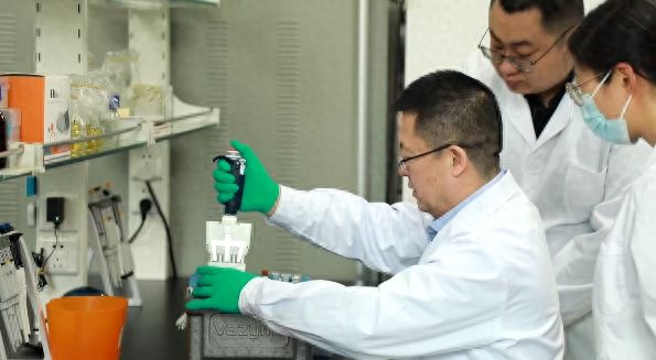 内蒙古大学科研团队找到紫花苜蓿抗旱增产“基因开关”