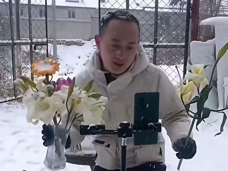 唐菖蒲种球种植方法