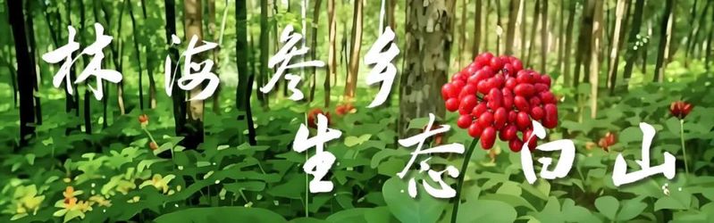 温馨提示 | 这些地震避险知识，您一定要知道！