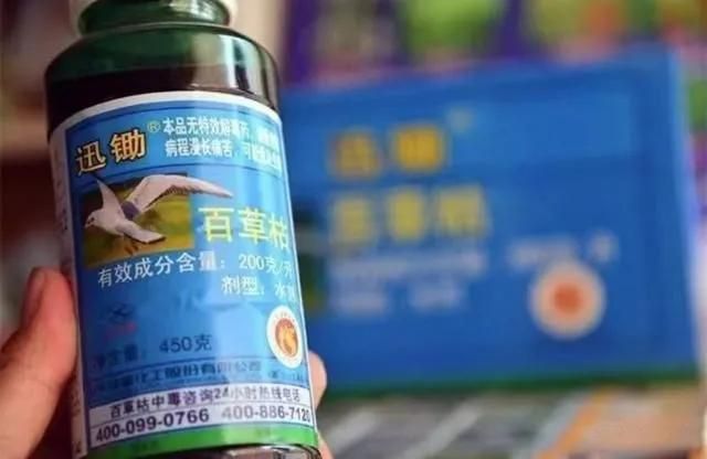 百草枯中毒机理