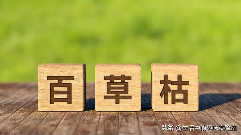 百草枯中毒机理