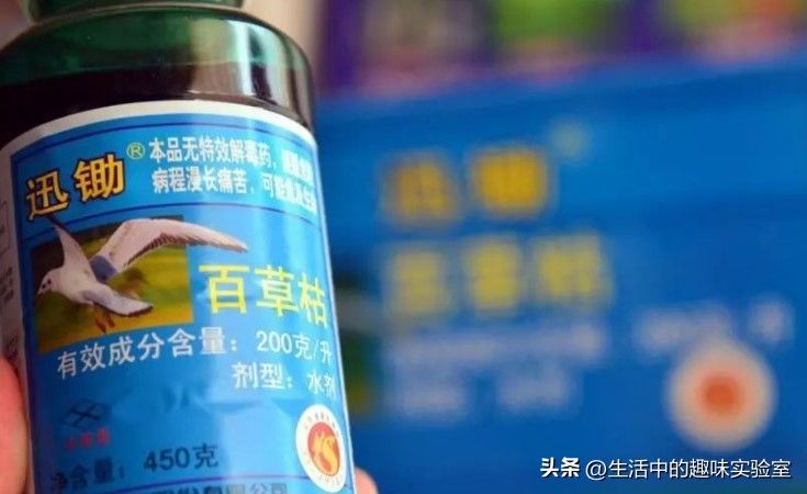 百草枯中毒机理