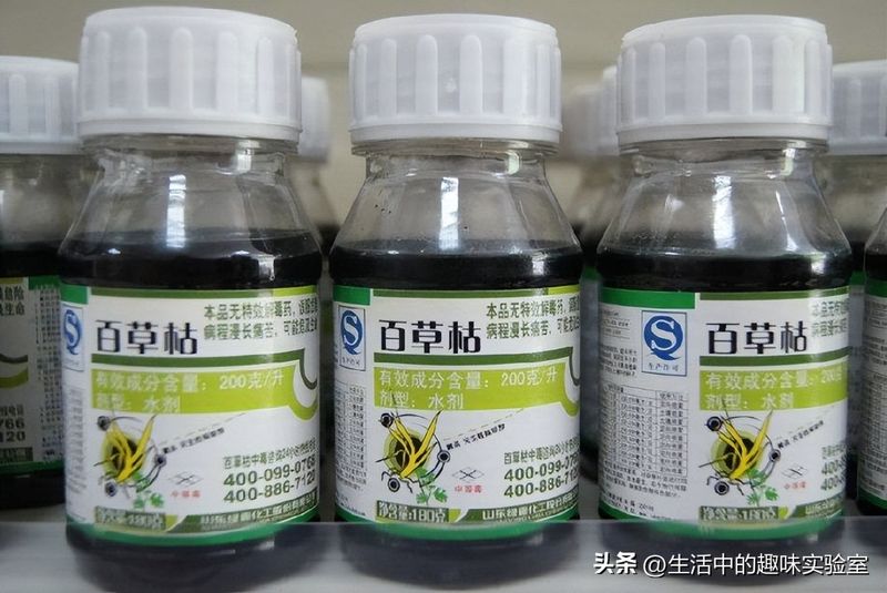 百草枯中毒机理