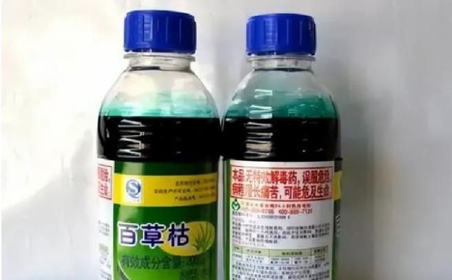 百草枯中毒机理