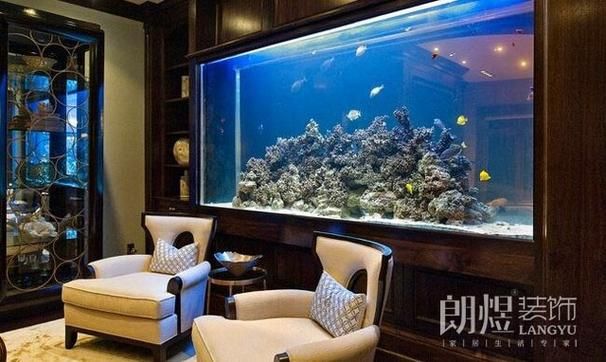 办公室养鱼风水知识