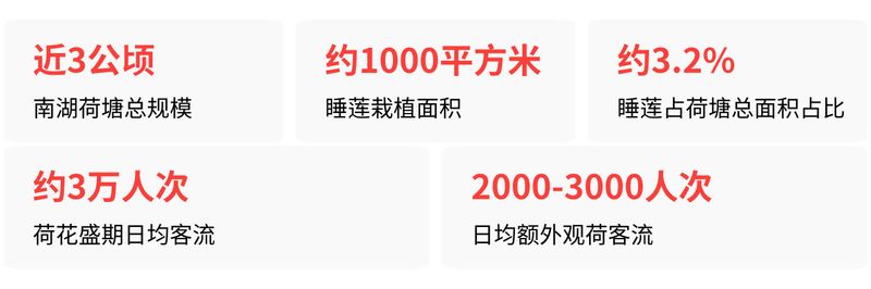 睡莲的种植方法带图