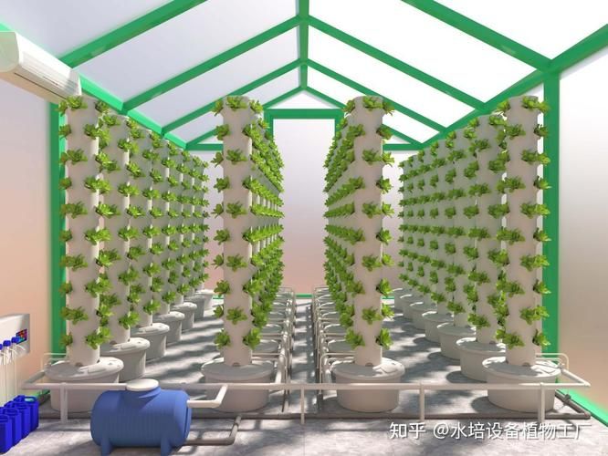 无土蔬菜种植技术