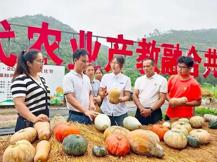 从田埂哭到央视舞台！这个广西女孩，用一根南瓜蔓撬动千亩产业！