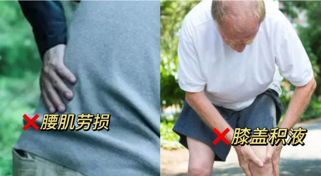 仙草活骨膏多少钱一盒几张