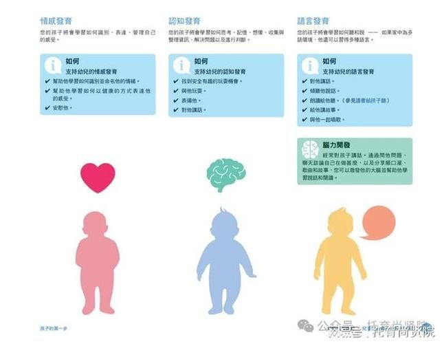 婴幼儿早期教育知识