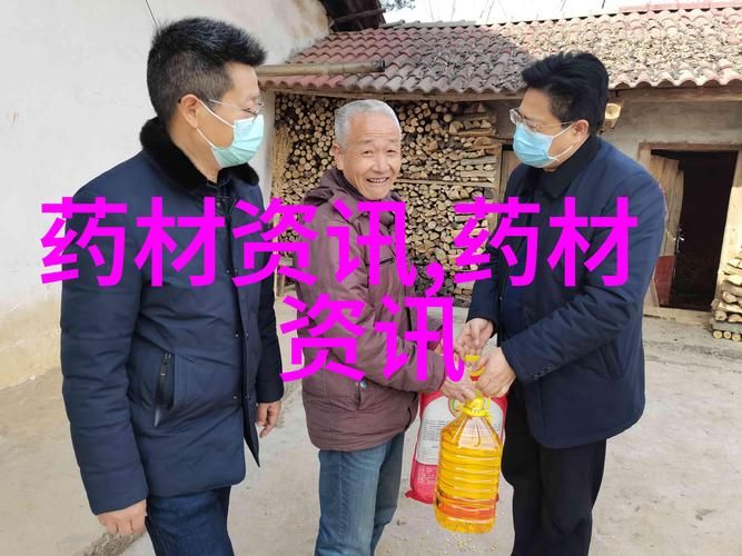 紫苑种植技术