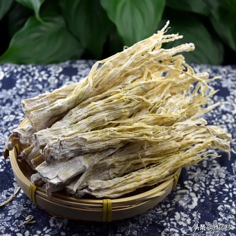 竹笋的种植方法