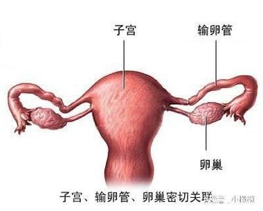 输卵管造影怎么做多少钱