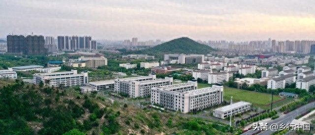 安徽适合种植的水果