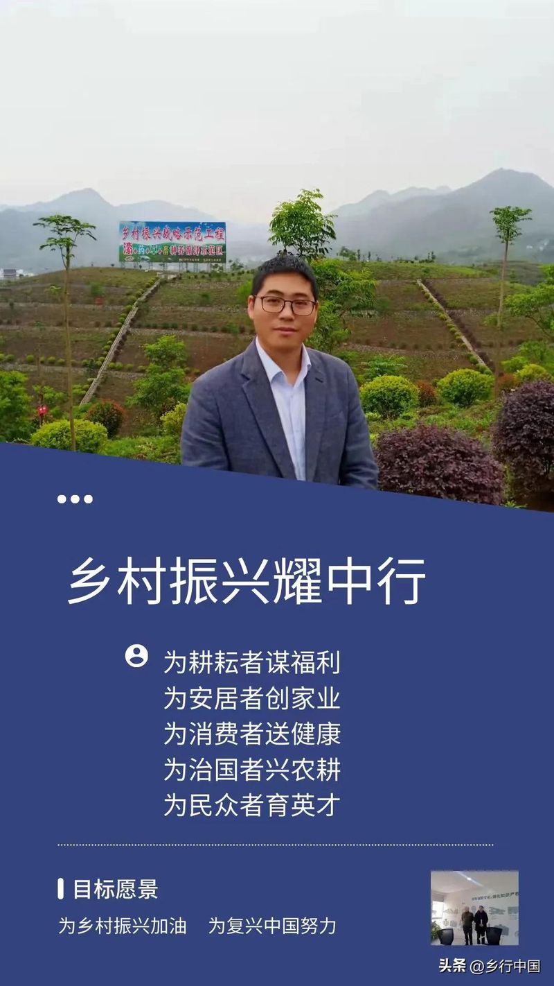 安徽适合种植的水果