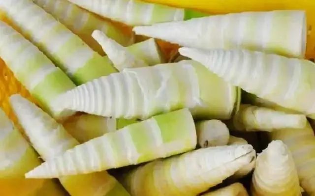 竹笋的种植方法