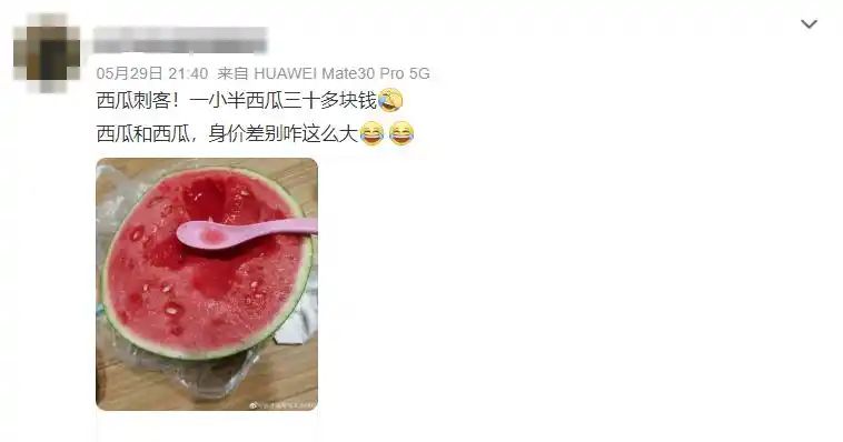 黄金瓜多少钱一斤2026