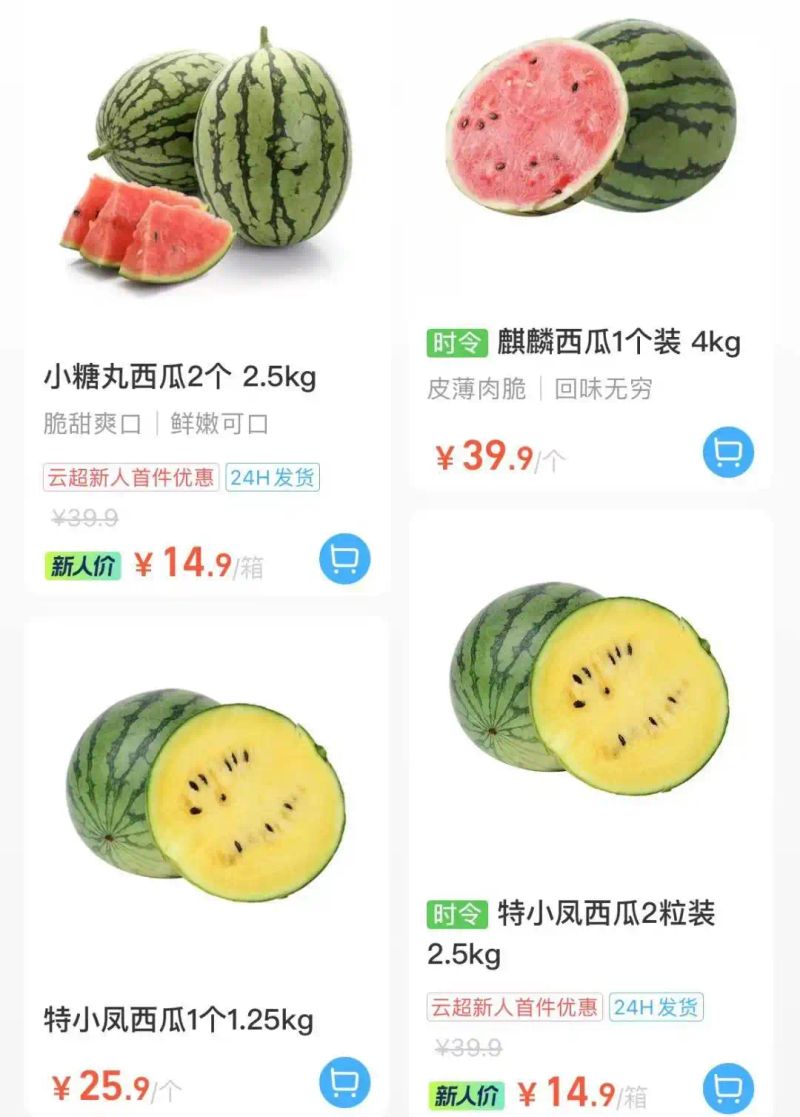 黄金瓜多少钱一斤2026