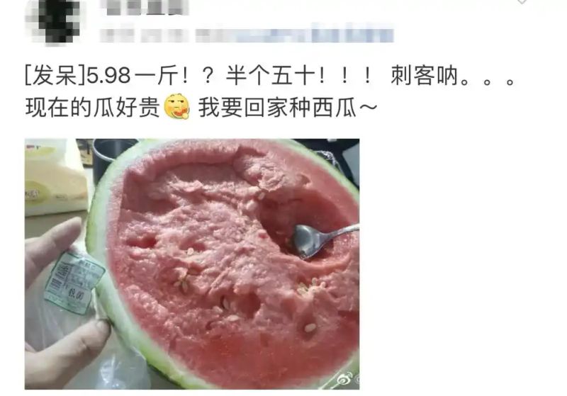 黄金瓜多少钱一斤2026