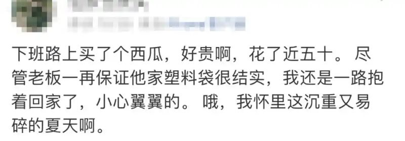 黄金瓜多少钱一斤2026
