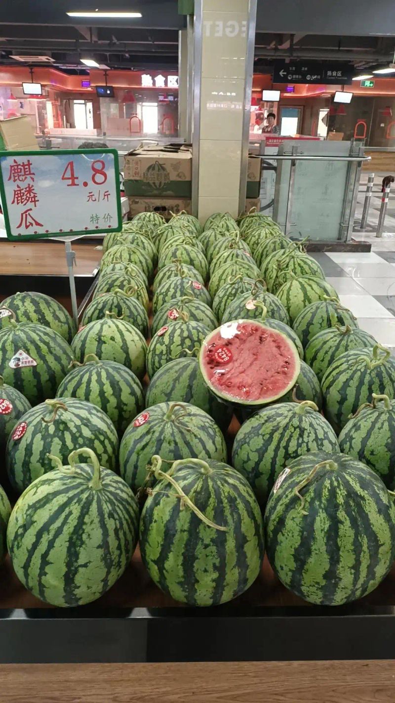黄金瓜多少钱一斤2026