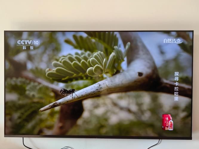 Sony tv maintenance