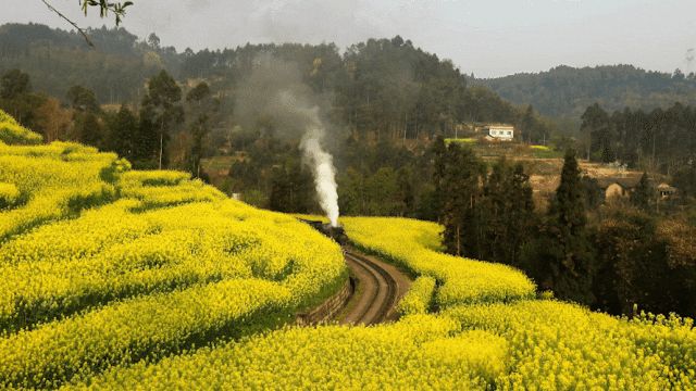 乐山2026年房价