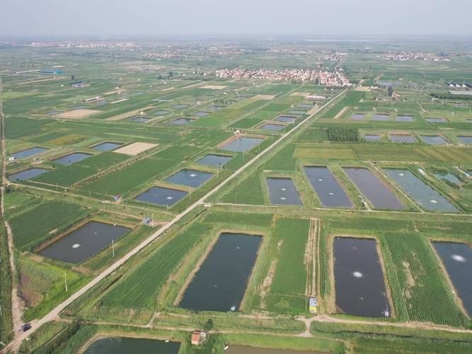 盐碱地改良方法