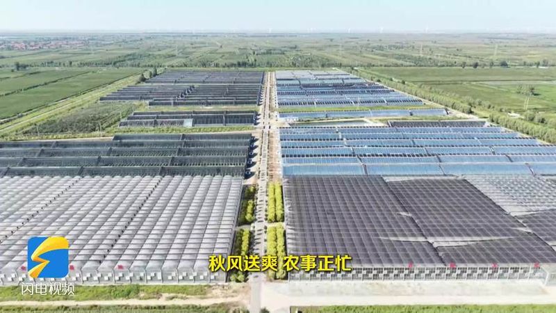 盐碱地改良方法