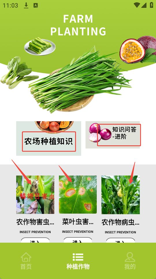 种植蔬菜游戏软件