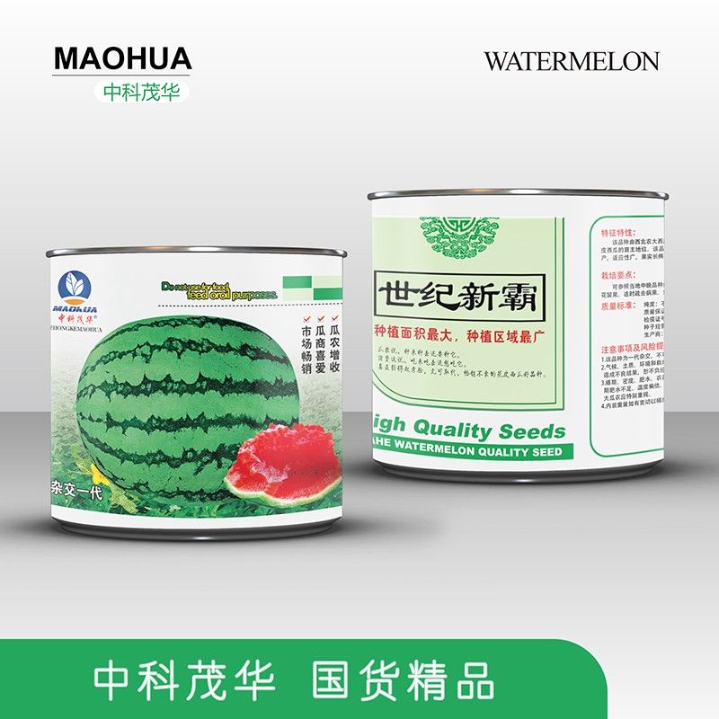 大棚西瓜种植技术
