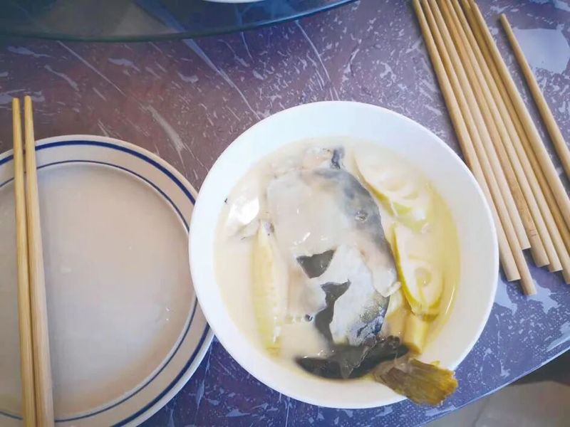 养殖河豚多少钱一斤