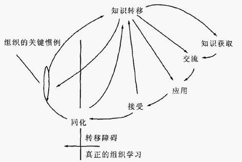 知识转移与企业信息化