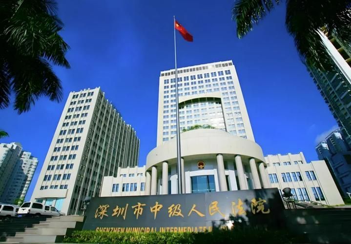 知识产权司法保护状况