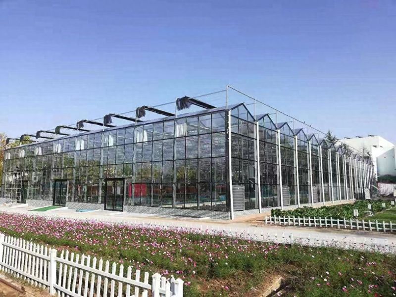 山东农业大棚种植技术