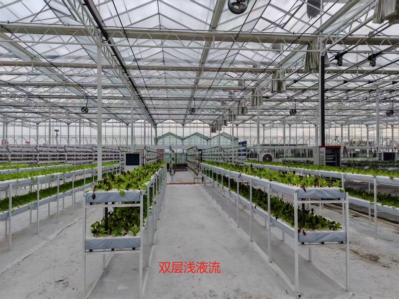 山东农业大棚种植技术
