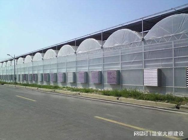 山东农业大棚种植技术